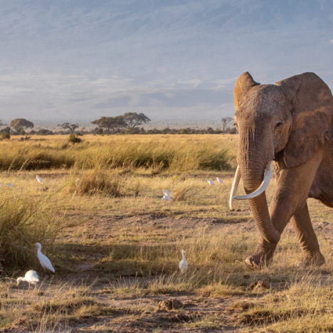 Explore the hidden wilderness around Melbourne and start an uninterrupted nature adventure.