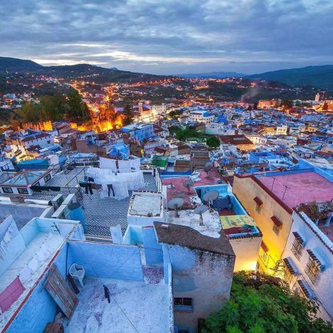 Morocco: A Feline Paradise